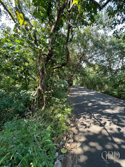 Colvale Plot 4002 Sqmtrs