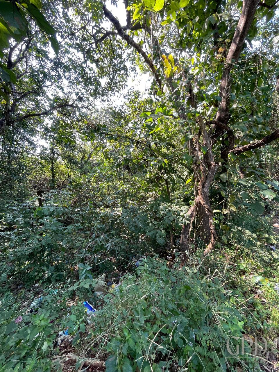 Colvale Plot 4002 Sqmtrs photo 6