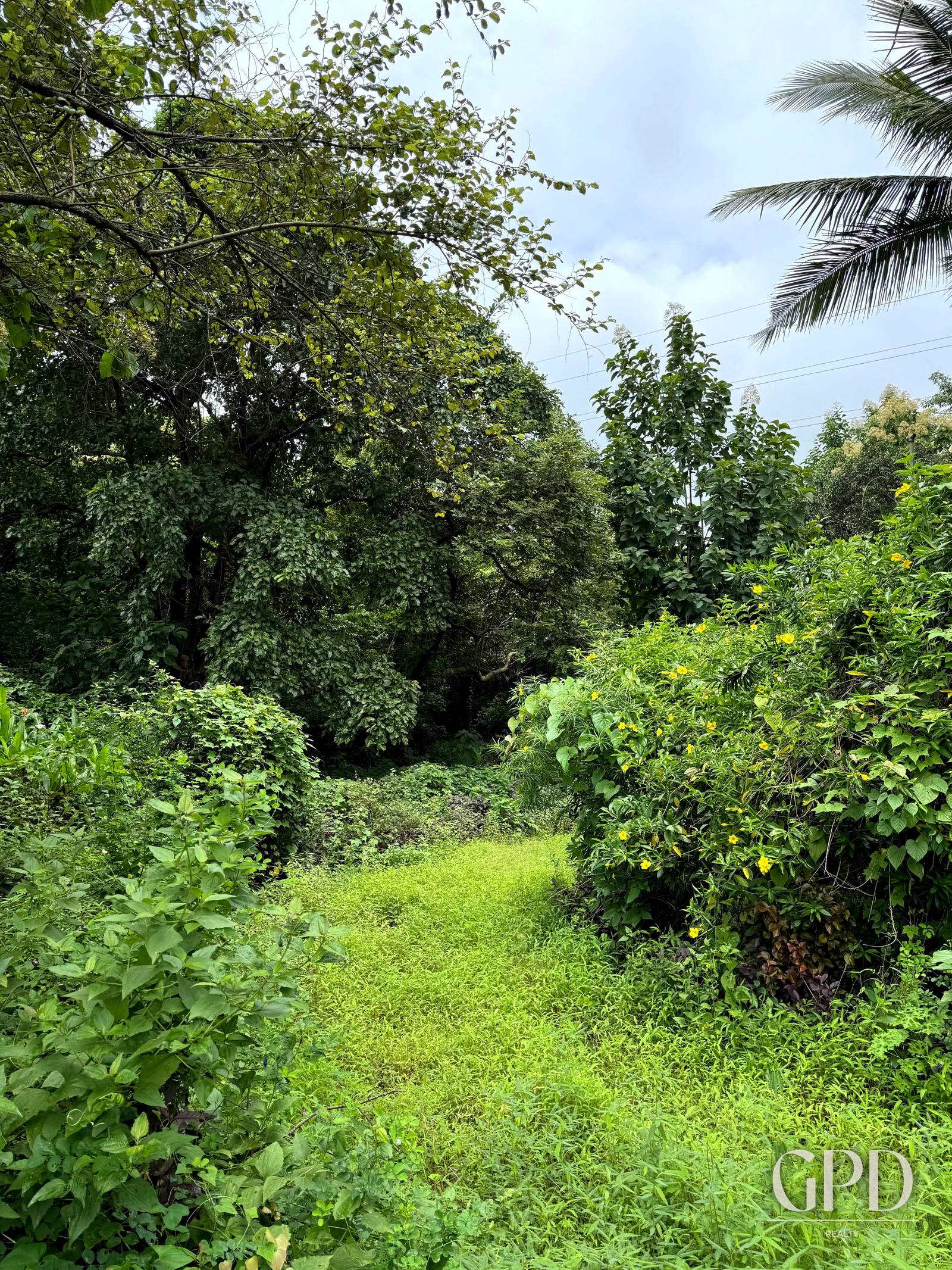 Curtorim Plot 7200 SQMT with old Portuguese House  photo 4