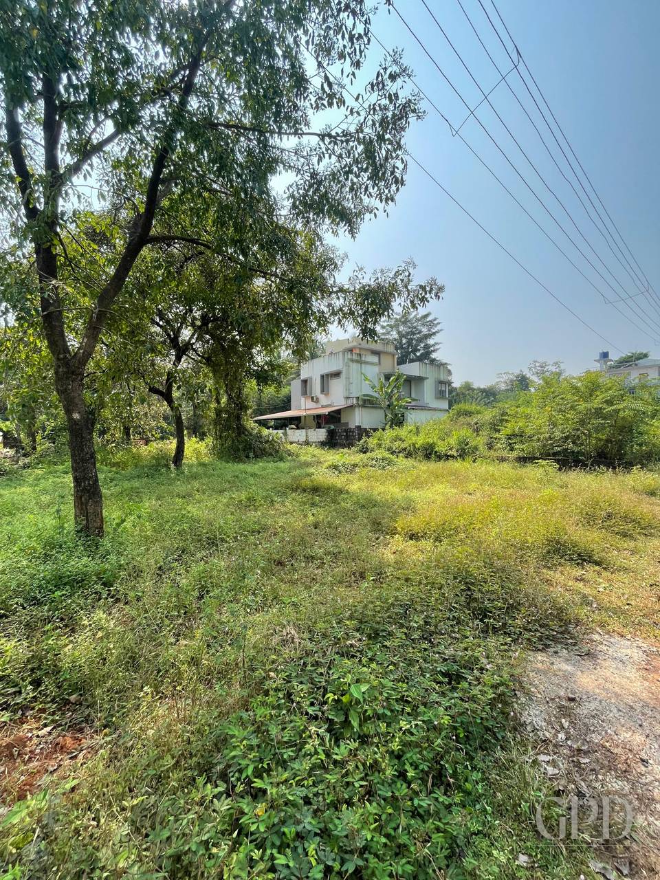 Siolim Plot 600 sqmtrs