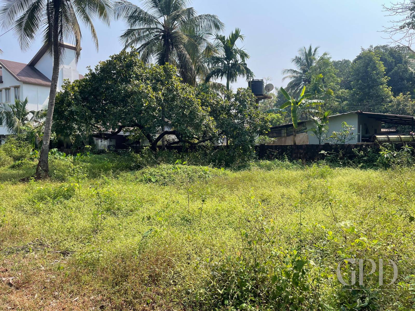 Siolim Plot 600 sqmtrs photo 6