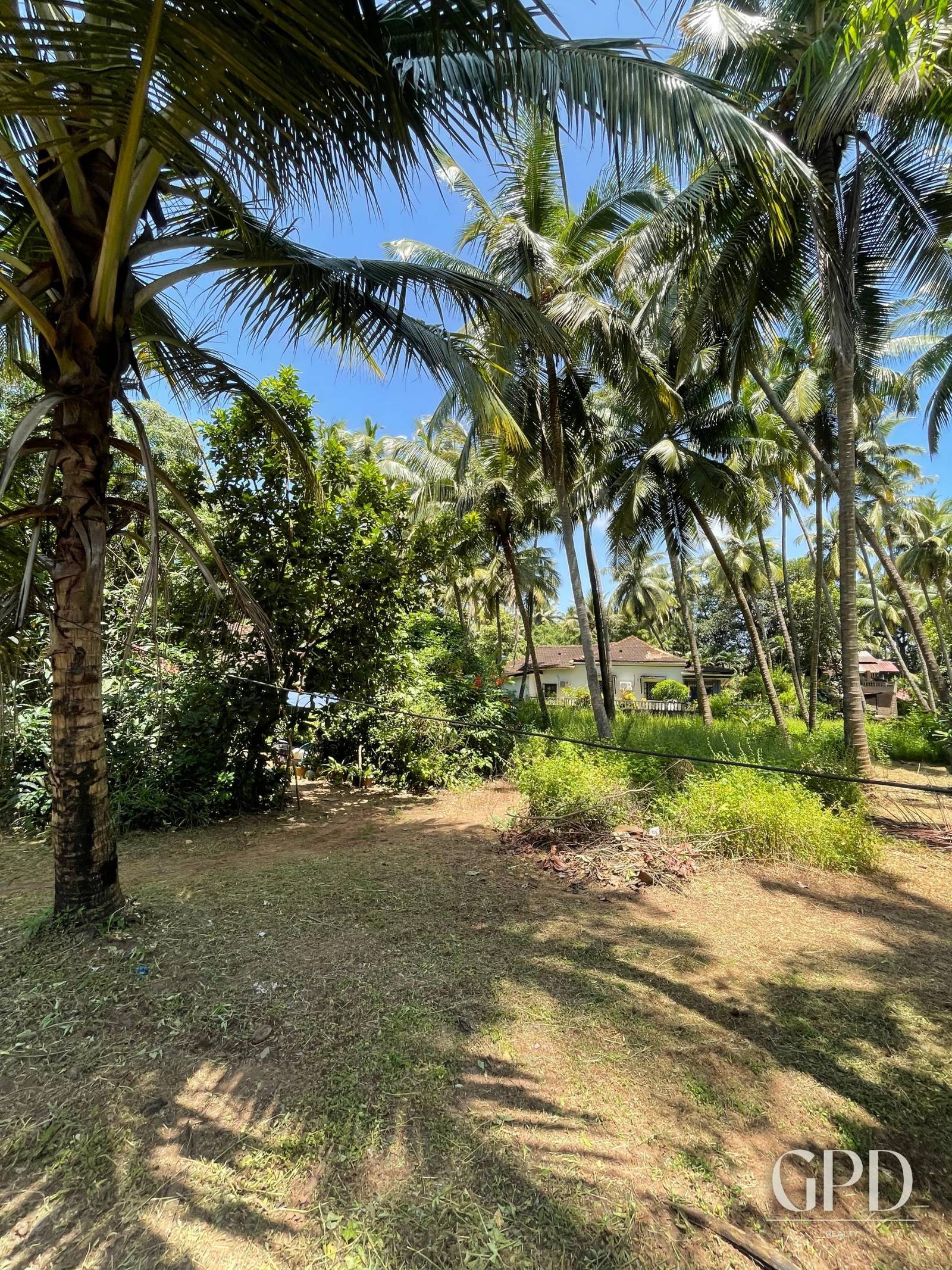 Arpora Plot 3500 sqmtrs with a House photo 8