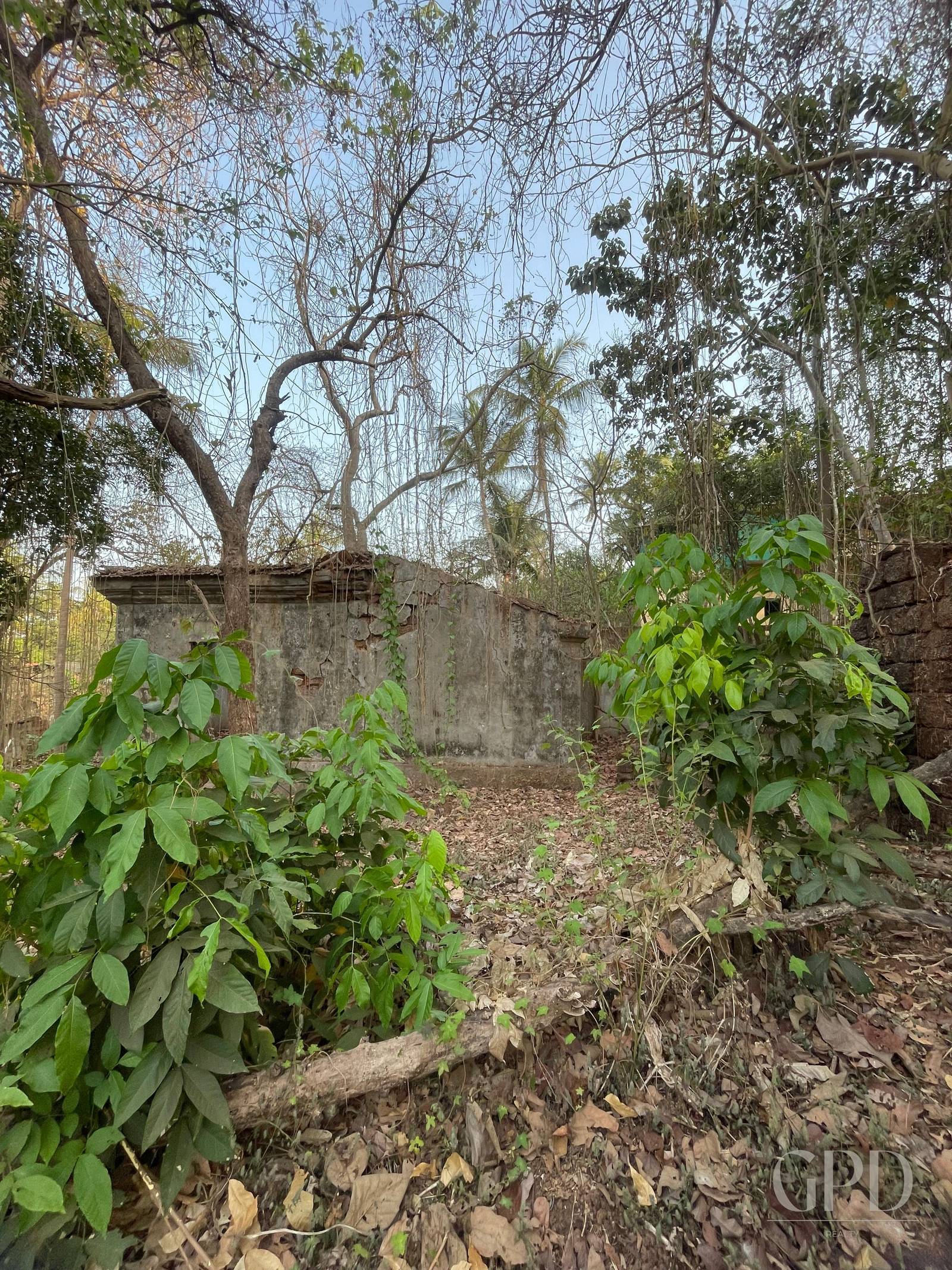 Assonora Plot 1500 Sqmtrs photo 5