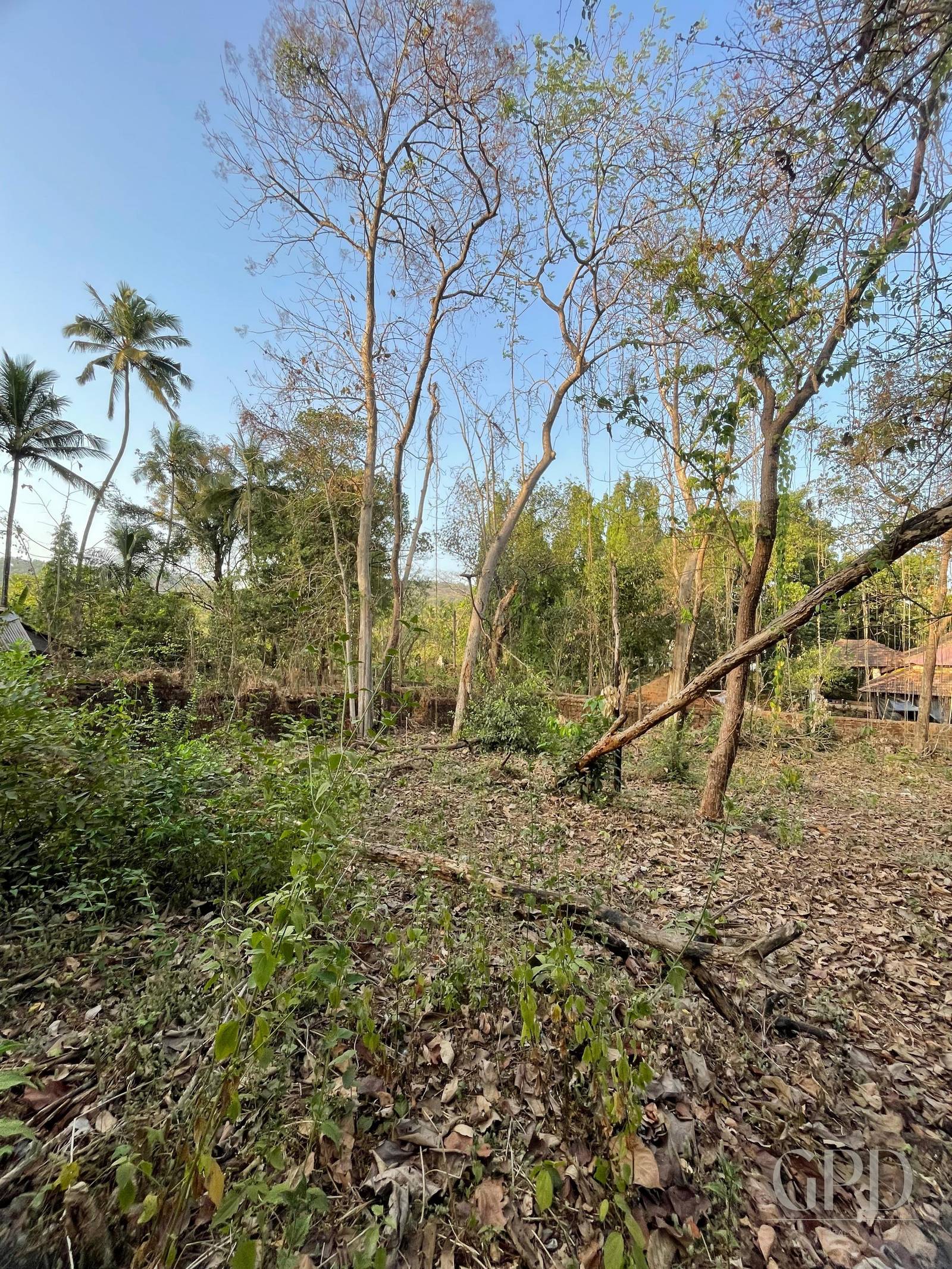 Assonora Plot 1500 Sqmtrs photo 6