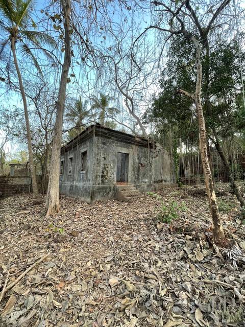 Assonora Plot 1500 Sqmtrs
