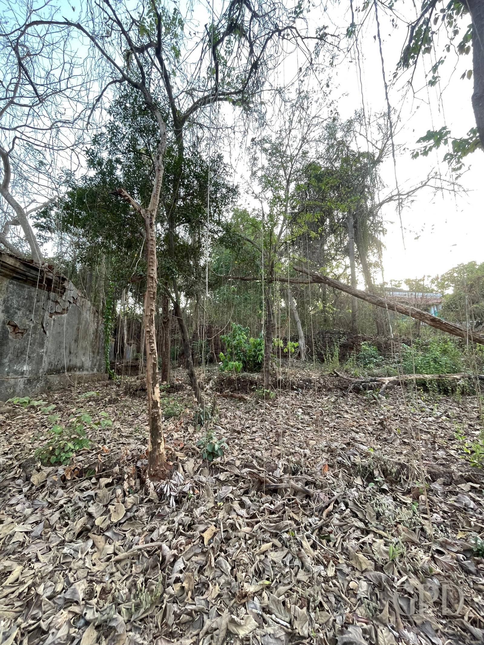 Assonora Plot 1500 Sqmtrs photo 7