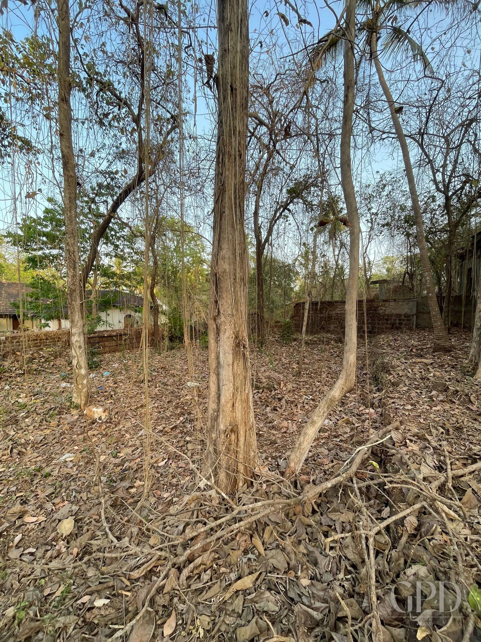 Assonora Plot 1500 Sqmtrs photo 8