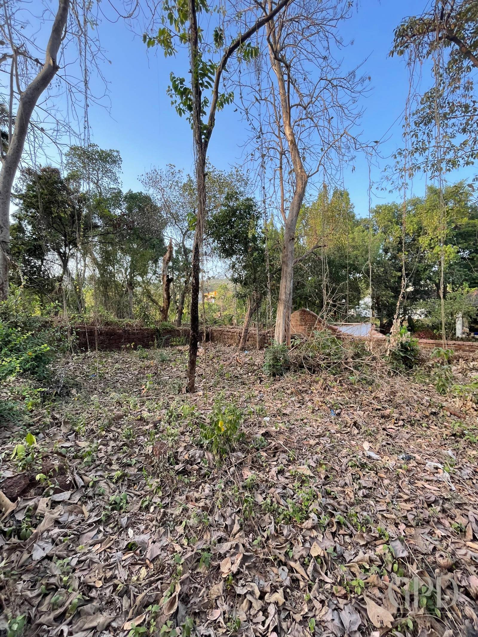 Assonora Plot 1500 Sqmtrs photo 9