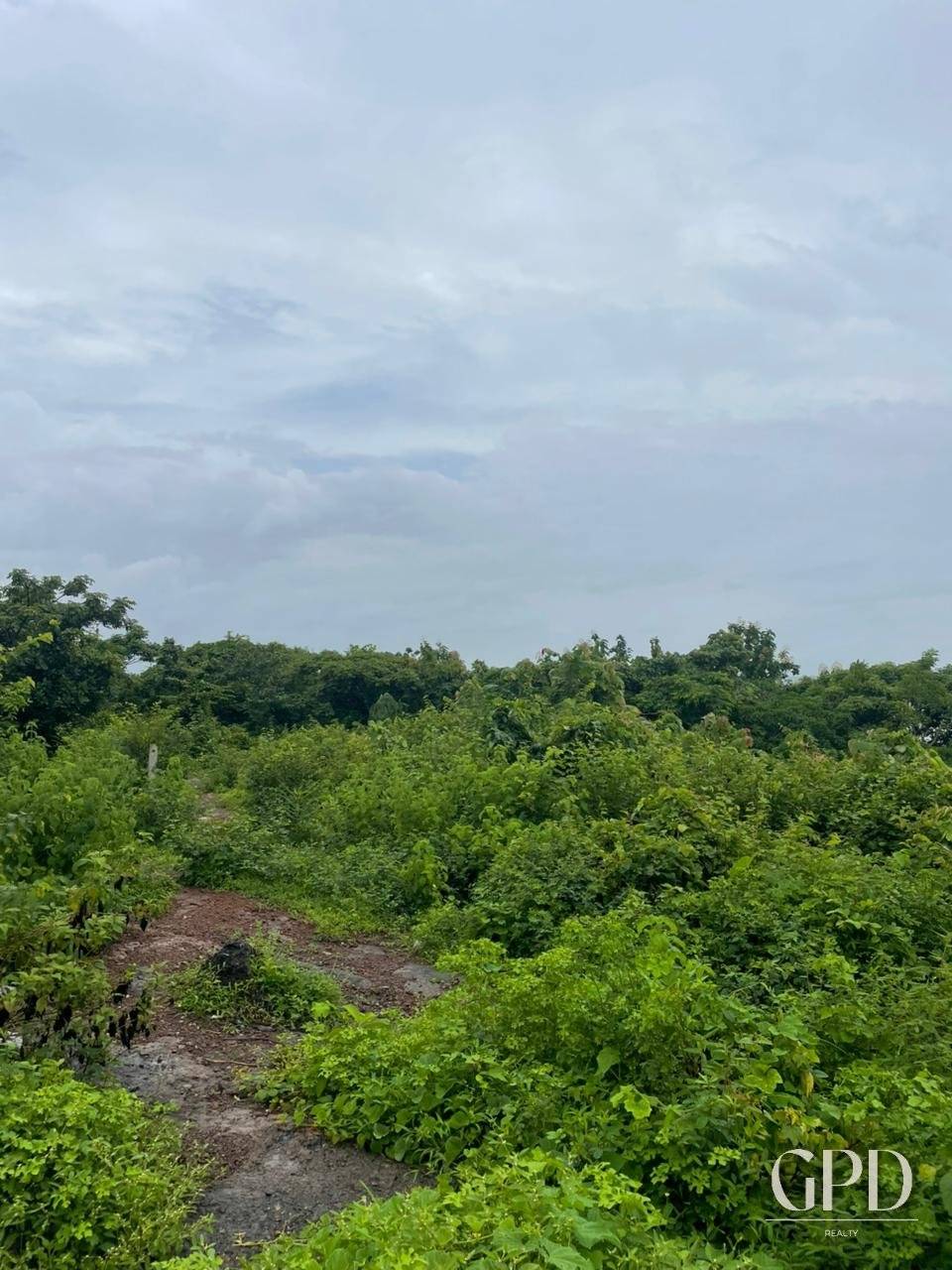 Chicalim Sea View Plot 3195 SQ MTRS photo 5