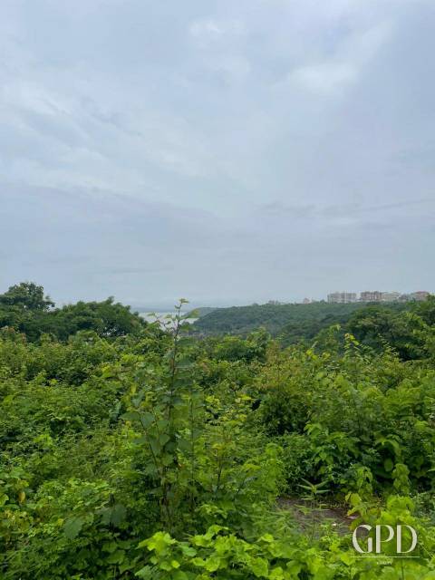 Chicalim Sea View Plot 3195 SQ MTRS