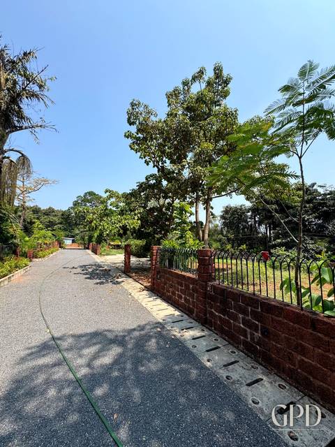 Neura Plot 341.33 Sq Mtrs North Goa 