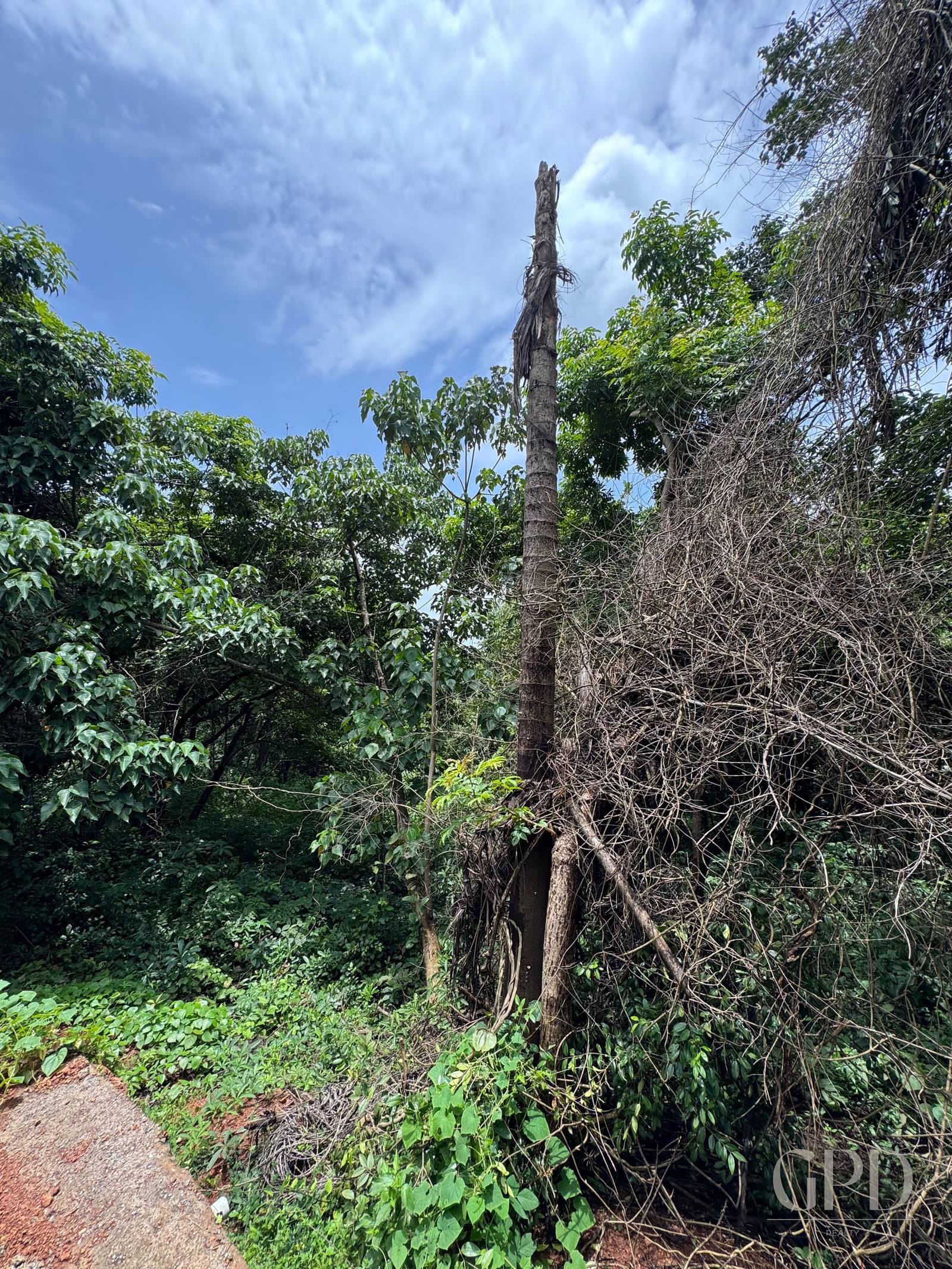 Siolim Marna 1500 SQMT photo 2