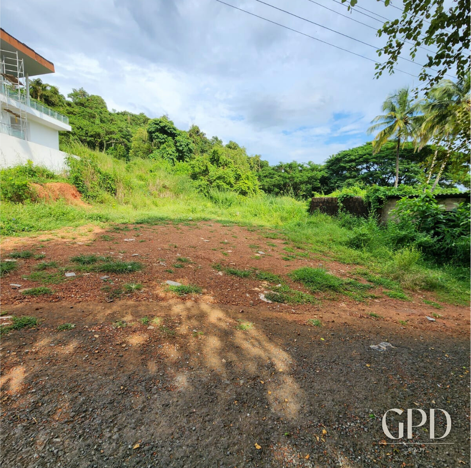 Bambolim Plot 523 SQMT photo 3