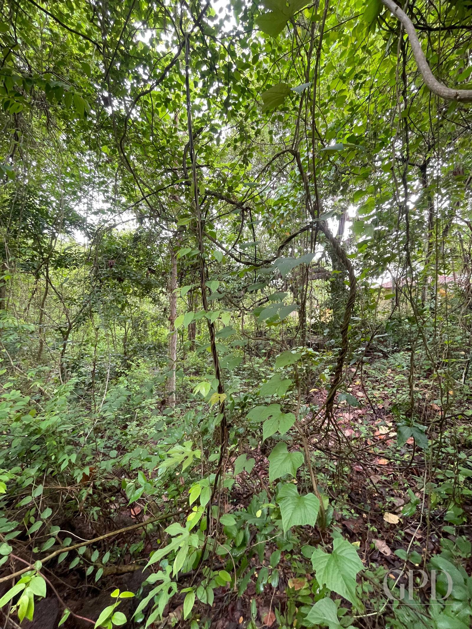 Aldona Plot 1400 Sqmtrs photo 2
