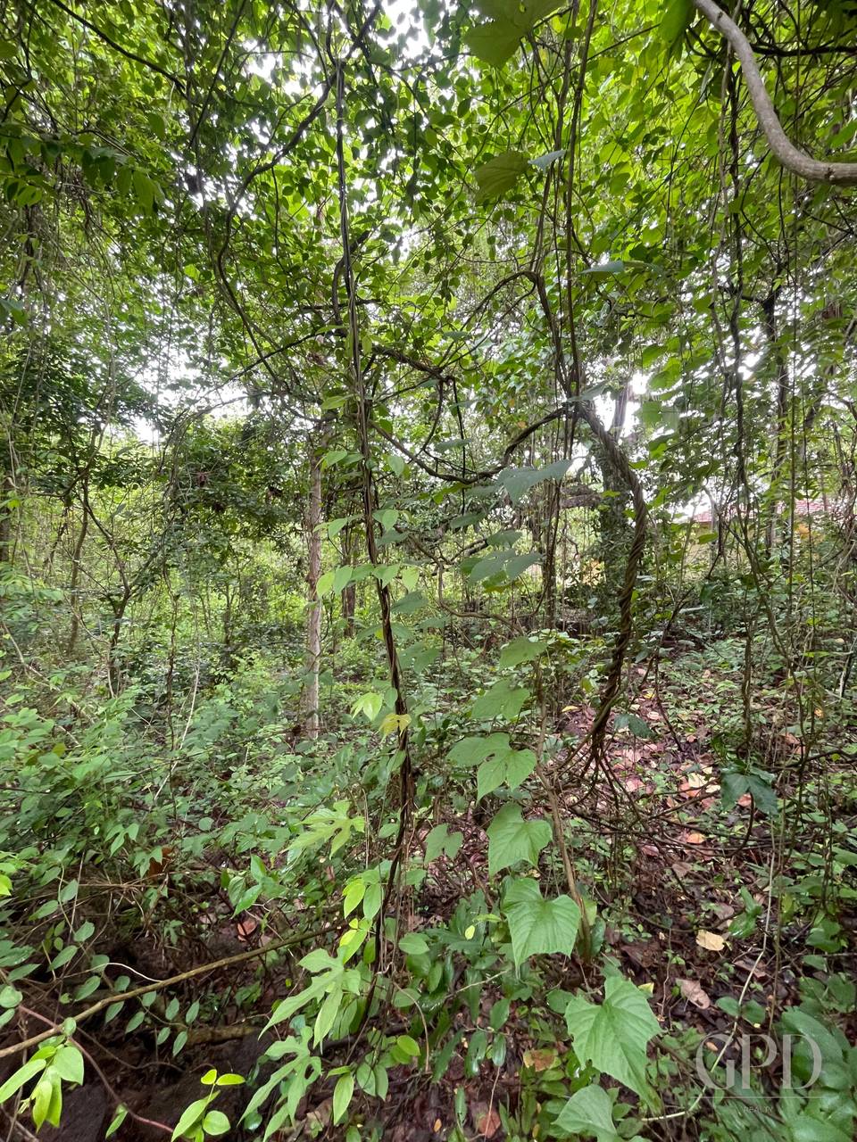 Aldona Plot 1400 Sqmtrs photo 2