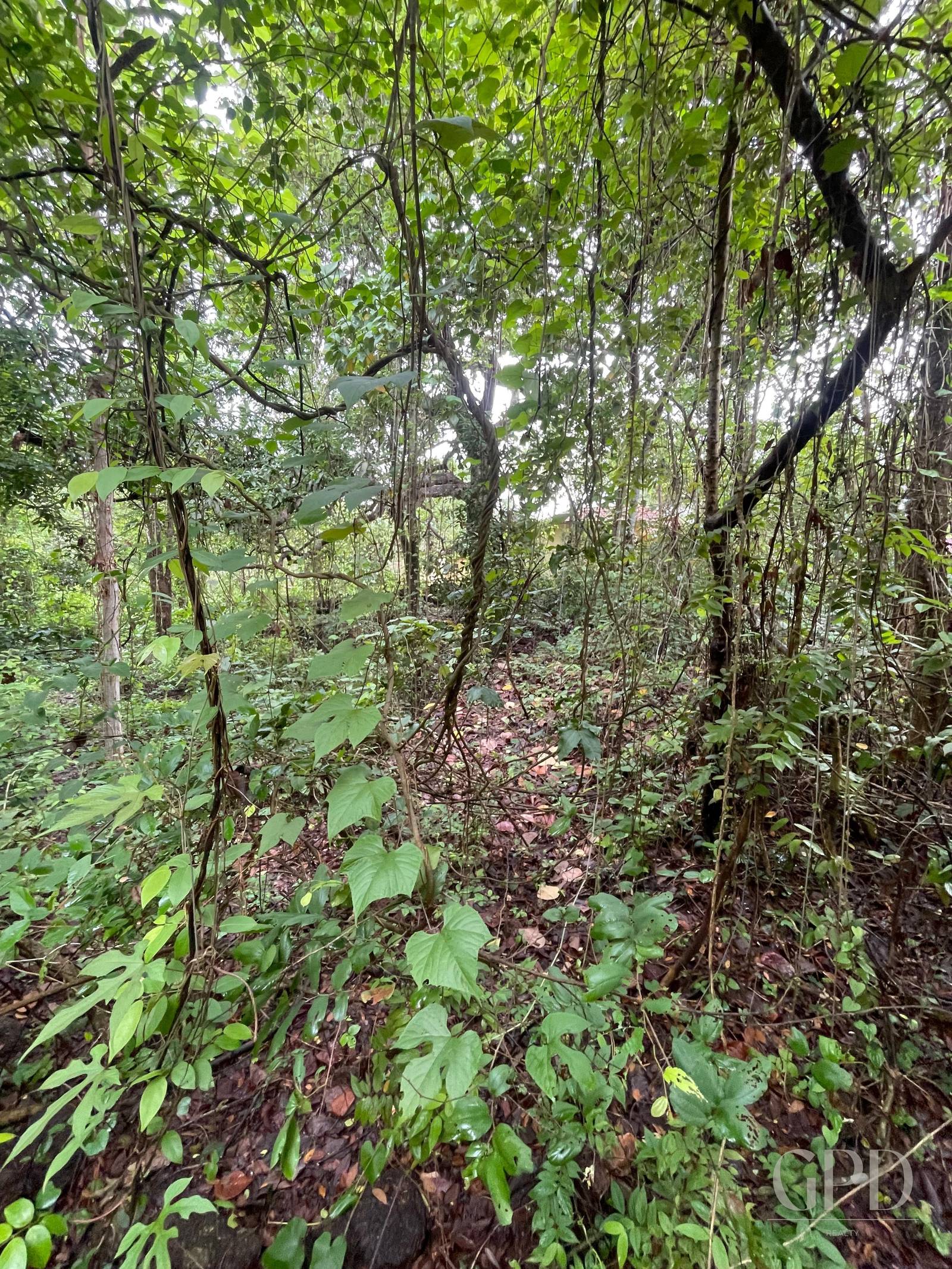 Aldona Plot 1400 Sqmtrs photo 3