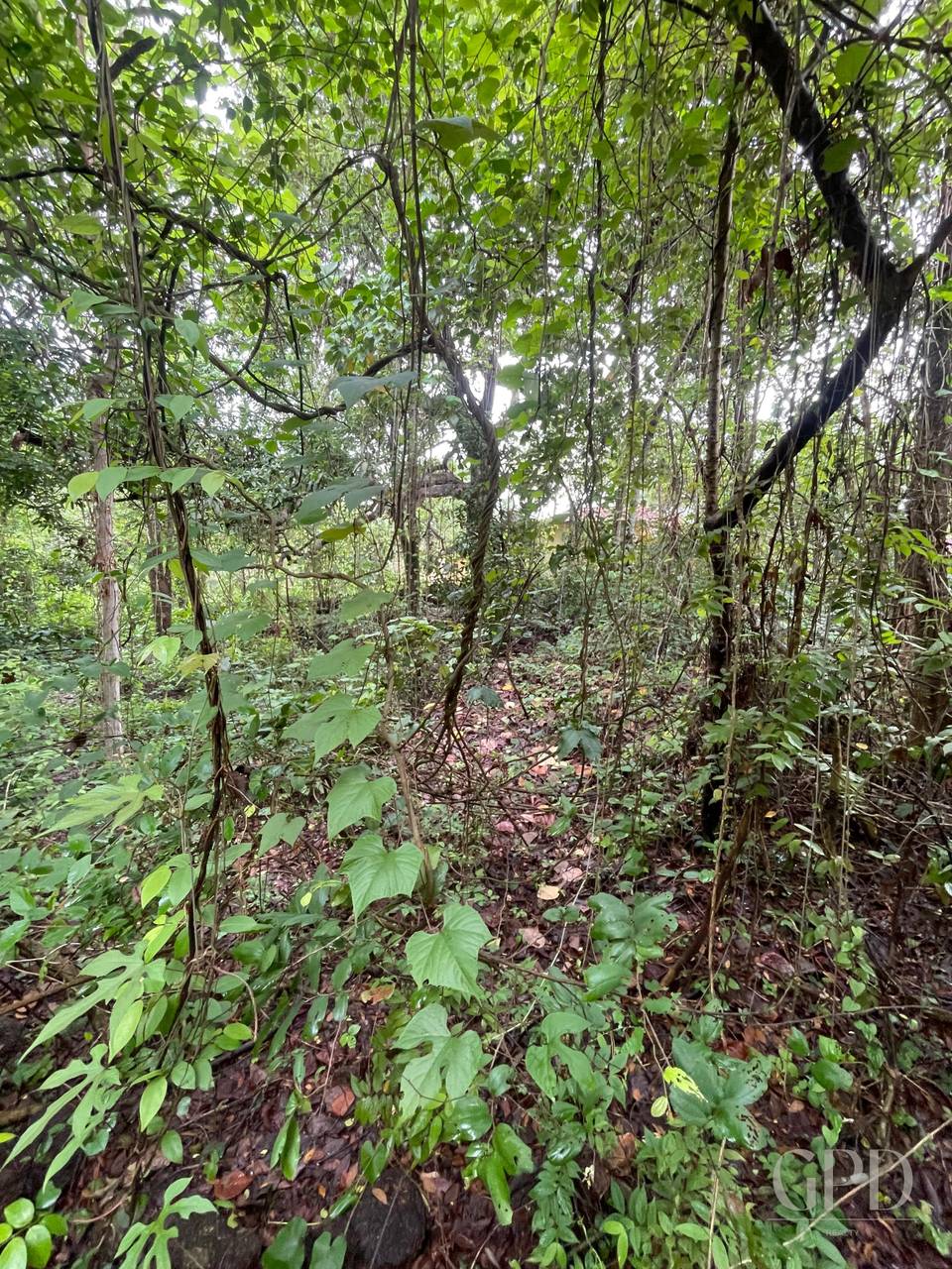 Aldona Plot 1400 Sqmtrs photo 3