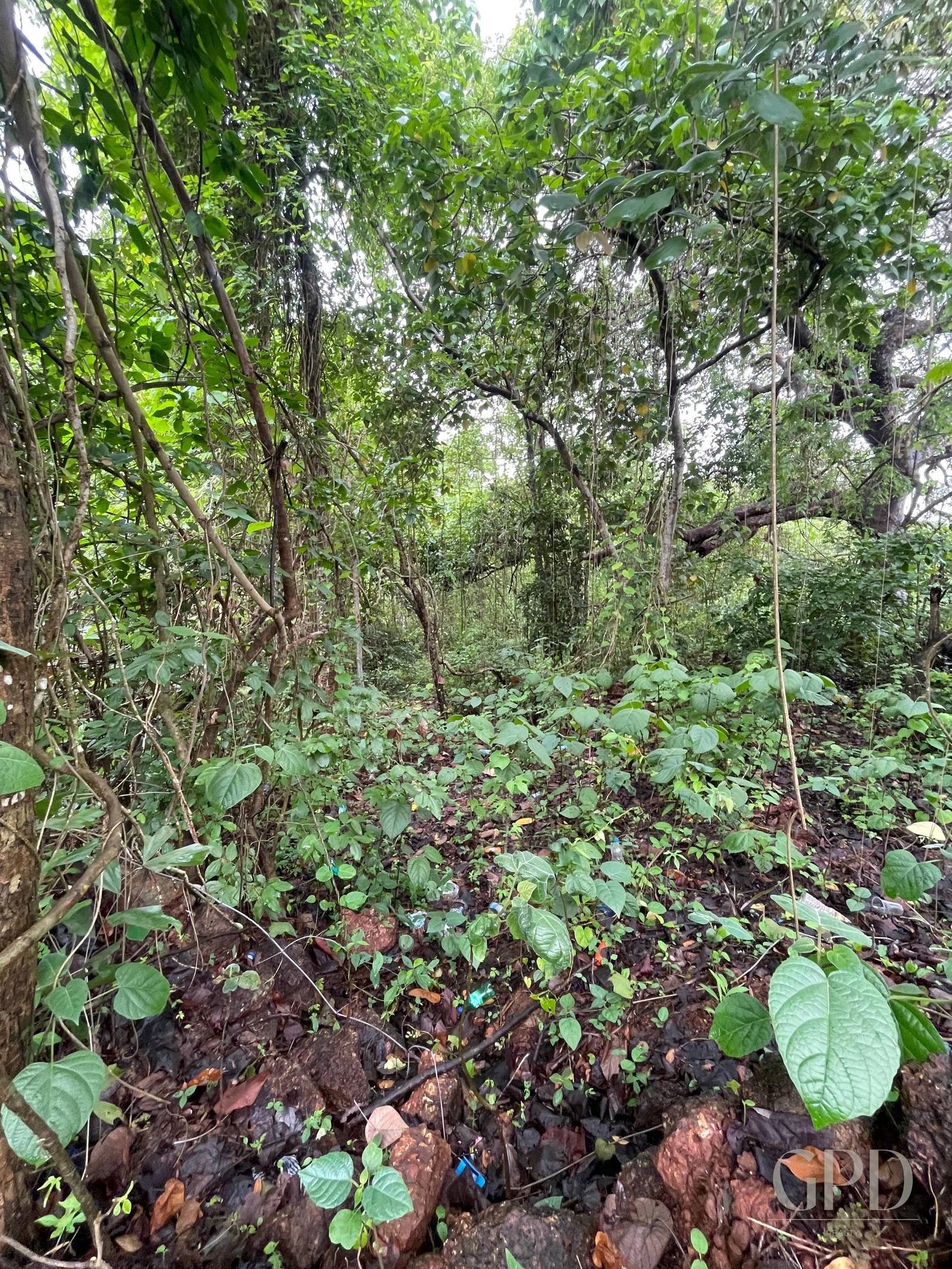Aldona Plot 1400 Sqmtrs photo 6